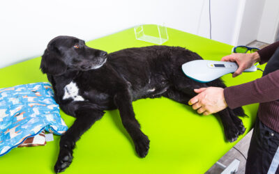 Lasertherapie