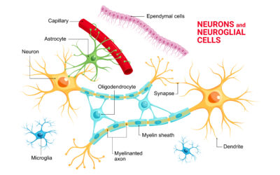 Schmerz- und Neuraltherapie