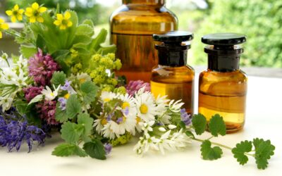 Phytotherapie