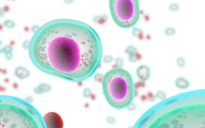Biomolekulare Zelltherapie