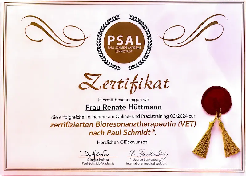 zertifikat